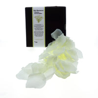 https://dreamlove.gesio.be/productos/imagenes/img_130628_f0da89c5a395d690465c12c6dc583954_1.jpg